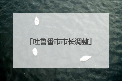 吐鲁番市市长调整