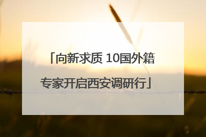 向新求质 10国外籍专家开启西安调研行