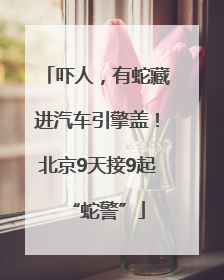 吓人，有蛇藏进汽车引擎盖！北京9天接9起“蛇警”
