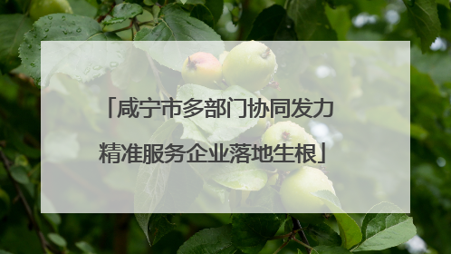 咸宁市多部门协同发力 精准服务企业落地生根