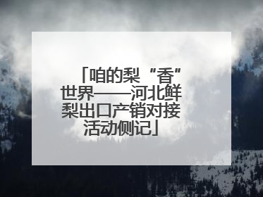 咱的梨“香”世界——河北鲜梨出口产销对接活动侧记