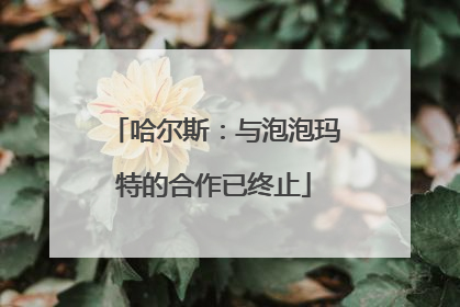 哈尔斯：与泡泡玛特的合作已终止