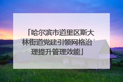 哈尔滨市道里区斯大林街道党建引领网格治理提升管理效能