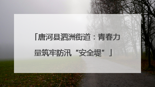 唐河县泗洲街道：青春力量筑牢防汛“安全堤”