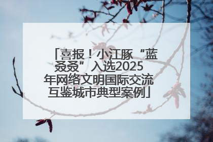 喜报！小江豚“蓝叒叒”入选2025年网络文明国际交流互鉴城市典型案例