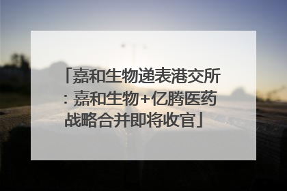 嘉和生物递表港交所：嘉和生物+亿腾医药战略合并即将收官