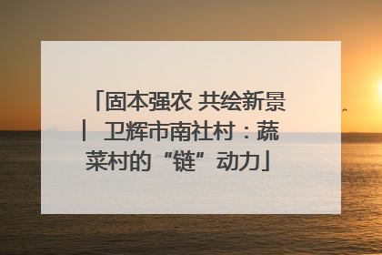 固本强农 共绘新景 ︳卫辉市南社村：蔬菜村的“链”动力