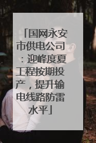国网永安市供电公司：迎峰度夏工程按期投产，提升输电线路防雷水平
