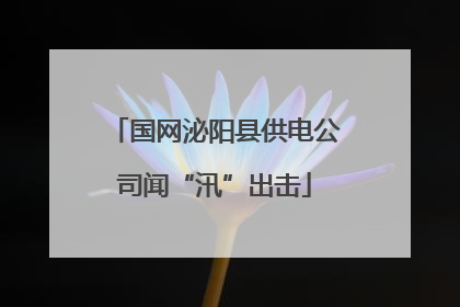 国网泌阳县供电公司闻“汛”出击
