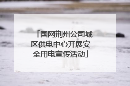 国网荆州公司城区供电中心开展安全用电宣传活动