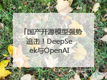 国产开源模型强势追击！DeepSeek与OpenAI最新模型实测对决