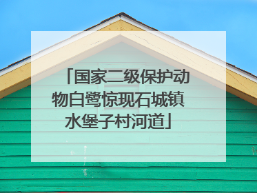 国家二级保护动物白鹭惊现石城镇水堡子村河道