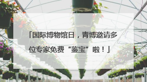 国际博物馆日，青博邀请多位专家免费“鉴宝”啦！