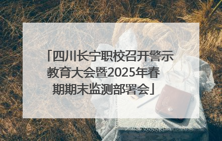 四川长宁职校召开警示教育大会暨2025年春期期末监测部署会