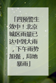 四预警生效中！北京城区雨量已达中到大雨，下午雨势加强，局地暴雨