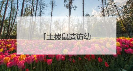 土拨鼠造访幼儿园，警民协力智擒“萌兽”