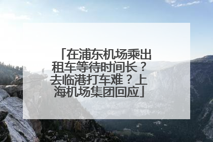 在浦东机场乘出租车等待时间长？去临港打车难？上海机场集团回应