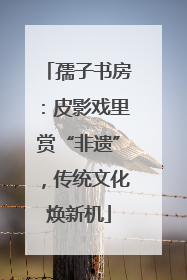 孺子书房：皮影戏里赏“非遗”，传统文化焕新机