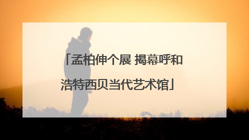孟柏伸个展 揭幕呼和浩特西贝当代艺术馆