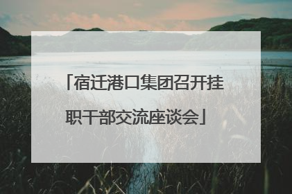宿迁港口集团召开挂职干部交流座谈会