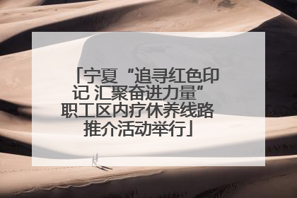 宁夏“追寻红色印记 汇聚奋进力量”职工区内疗休养线路推介活动举行