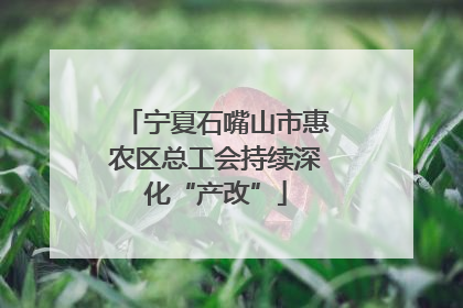 宁夏石嘴山市惠农区总工会持续深化“产改”