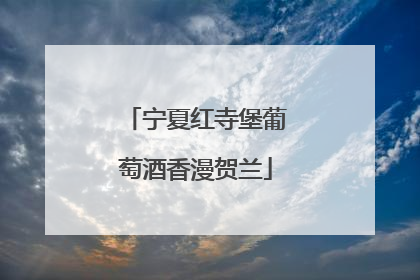 宁夏红寺堡葡萄酒香漫贺兰