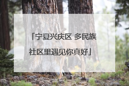 宁夏兴庆区 多民族社区里遇见你真好