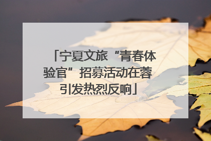 宁夏文旅“青春体验官”招募活动在蓉引发热烈反响