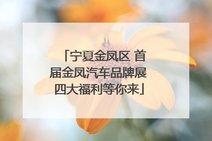 宁夏金凤区 首届金凤汽车品牌展四大福利等你来