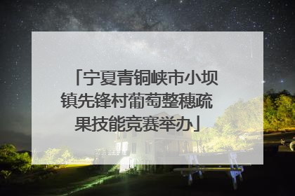 宁夏青铜峡市小坝镇先锋村葡萄整穗疏果技能竞赛举办