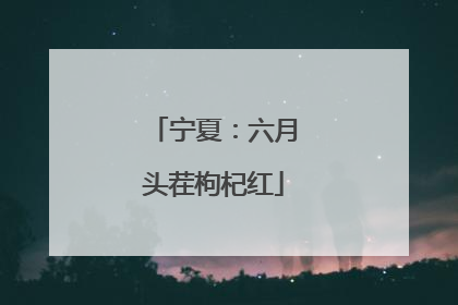 宁夏：六月头茬枸杞红