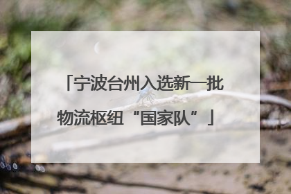 宁波台州入选新一批物流枢纽“国家队”