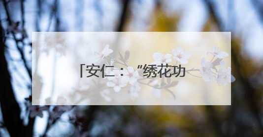 安仁：“绣花功夫”提品质 城市焕新惠民生