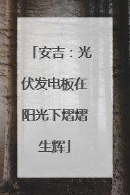 安吉：光伏发电板在阳光下熠熠生辉