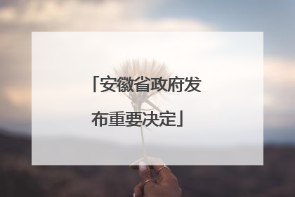 安徽省政府发布重要决定