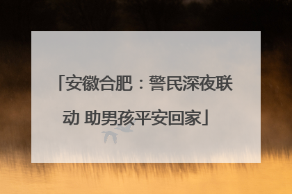 安徽合肥：警民深夜联动 助男孩平安回家
