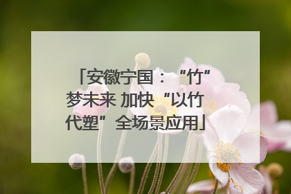 安徽宁国：“竹”梦未来 加快“以竹代塑”全场景应用