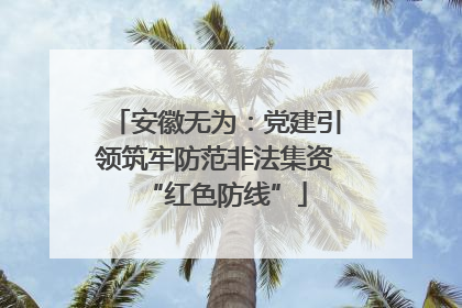 安徽无为：党建引领筑牢防范非法集资“红色防线”