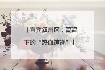 宜宾叙州区：高温下的“热血速递”