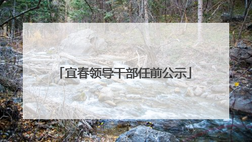 宜春领导干部任前公示