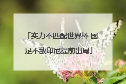 实力不匹配世界杯 国足不敌印尼提前出局