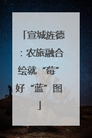 宣城旌德：农旅融合绘就“莓”好“蓝”图