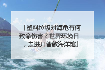 塑料垃圾对海龟有何致命伤害？世界环境日，走进开普敦海洋馆