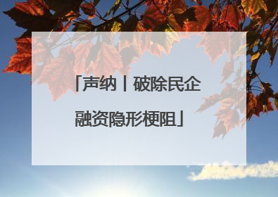 声纳丨破除民企融资隐形梗阻