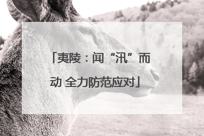 夷陵：闻“汛”而动 全力防范应对
