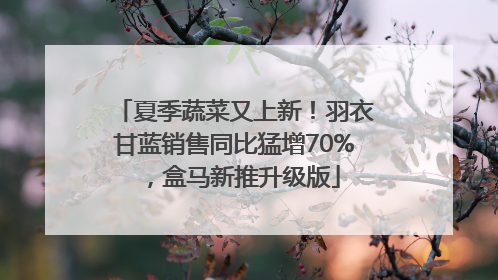 夏季蔬菜又上新！羽衣甘蓝销售同比猛增70%，盒马新推升级版
