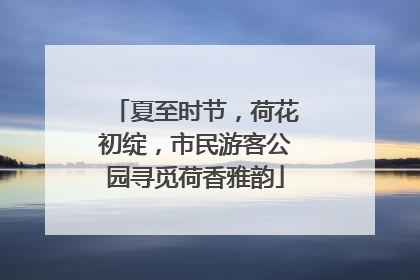 夏至时节，荷花初绽，市民游客公园寻觅荷香雅韵