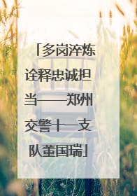 多岗淬炼诠释忠诚担当——郑州交警十一支队董国瑞