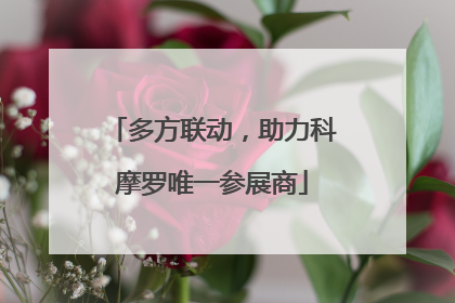 多方联动，助力科摩罗唯一参展商